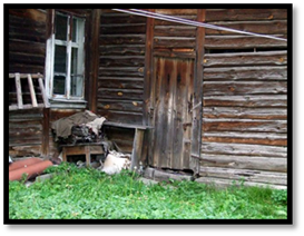 ����� 2007 003