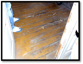 ����� 2007����� ��������� 391