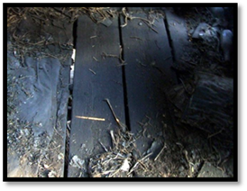 ����� 2007����� ��������� 406